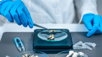 Do Shrooms Show Up on a Urine Test