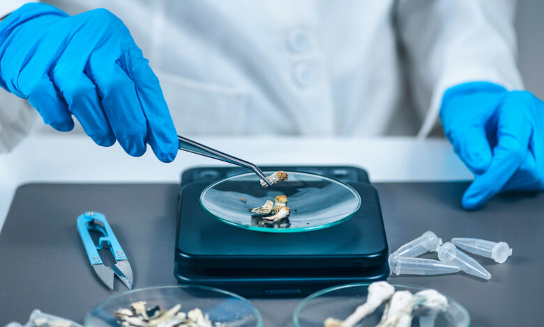 Do Shrooms Show Up on a Urine Test